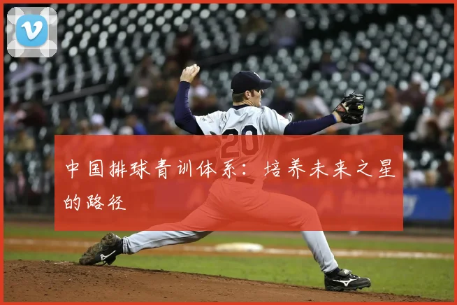 中国排球青训体系：培养未来之星的路径