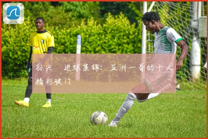 孙兴慜进球集锦:亚洲一哥的十大精彩破门