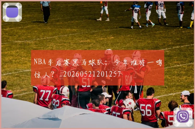NBA季后赛黑马球队:今年谁将一鸣惊人?_20260521201257
