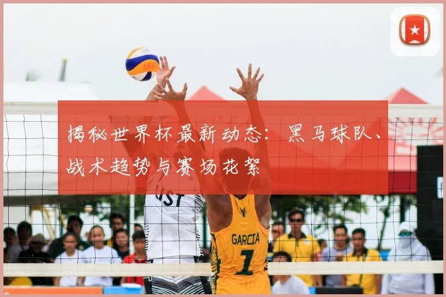 揭秘世界杯最新动态：黑马球队、战术趋势与赛场花絮